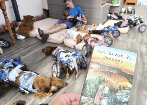 Vyšel 2. díl bestselleru pomáhajícího Jezevčíkům v nouzi, patronem se stala kapela O5 a Radeček