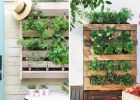 Poznejte kouzlo vertikálních záhonků: Pěstovat rostliny můžete i bez zahrady