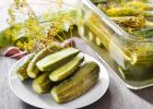 Kvašáky z okurek milovaly už naše babičky. Tato letní pochoutka je plná probiotických kultur