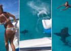 Američanka Iso Machado přežila setkání se žralokem poblíž Baham. K celé události došlo během její narozeninové oslavy