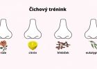 Čichový trénink po prodělání koronaviru: Nejméně po dobu 32 týdnů každý den čichejte ke 4 výrazným vůním