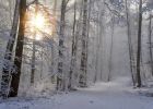 Horoskop na 3. týden (18. 1. 2021 - 24. 1. 2021)