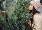 Živý vánoční stromek si zaslouží speciální péči: Jak se o něj starat, aby dlouho vydržel?