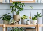 10 rostlin, které vyčistí vaši domácnost od toxinů