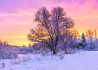 Horoskop na 6. týden (6. 2. 2023 - 12. 2. 2023)