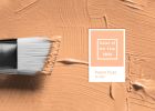 Barva roku 2024 Pantone: Seznamte se s Peach Fuzz neboli sametově broskvovou