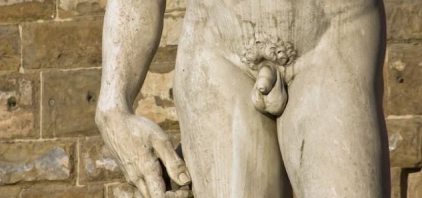 mužský penis pic