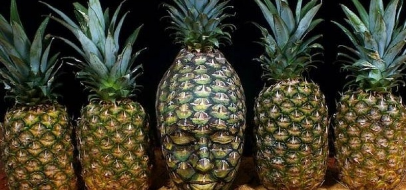 Talentovaný bodypainter přetváří nahé lidi v umělecká díla