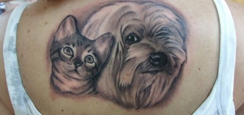 Tetování Pes A Kočka