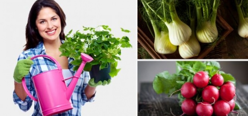 Tuhle zeleninu můžete pěstovat i doma v kuchyni