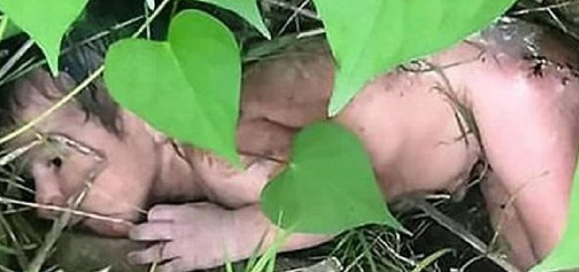 V křoví našel odhozené dítě. Když se k němu dostal blíž, zjistil děsivou pravdu...