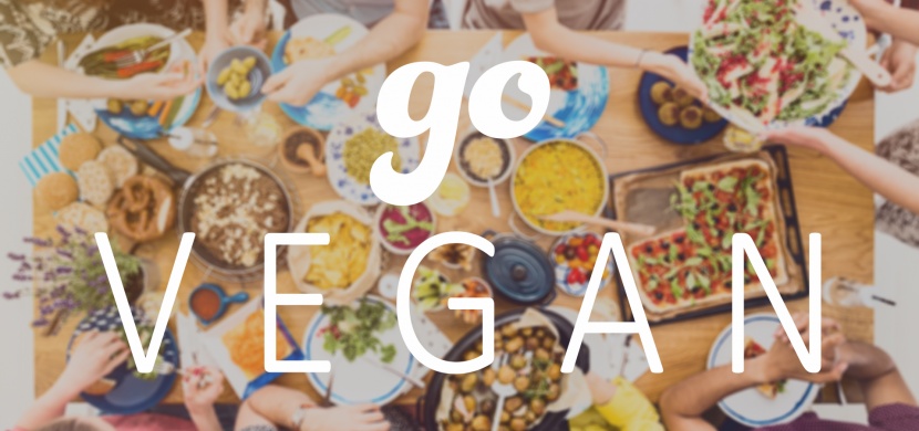 Jak začít s veganstvím bez stresu a strádání
