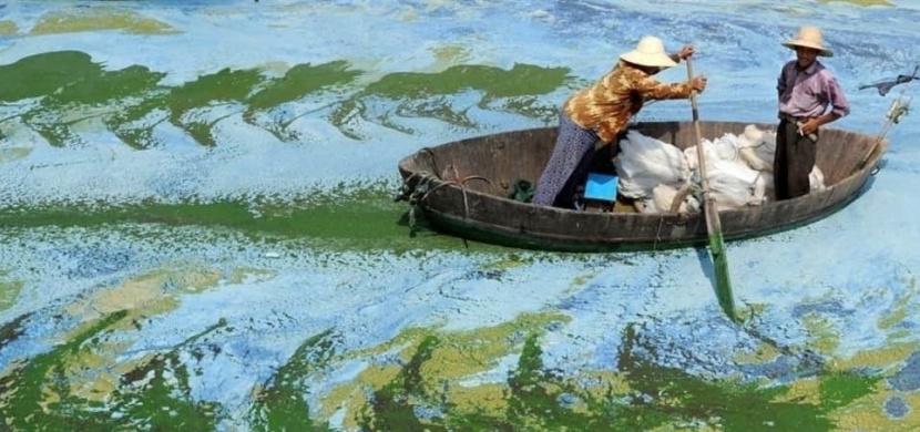 10 fotek, které vypadají jako z Photoshopu, ale jsou zcela skutečné
