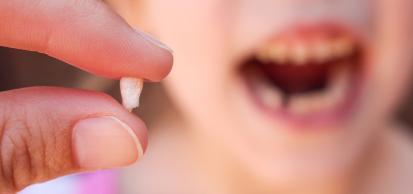 Nevyhazujte mléčné zuby svých dětí. Možná se vám budou hodit