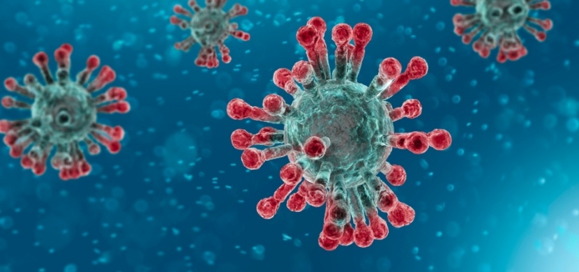 Vědci učinili přítrž spekulacím: Koronavirus nepochází z laboratoře, vznikl přirozeně