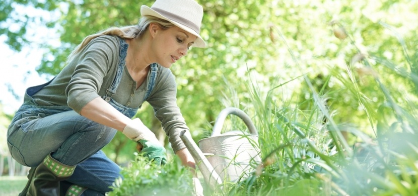 Co dělat na zahradě v dubnu: Zvertikulujte trávník, vysejte ředkvičky nebo přihnojte jahody
