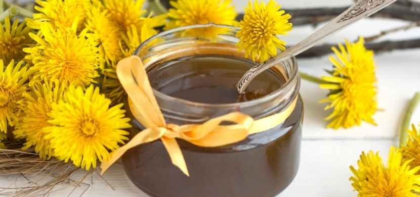 Smetánka lékařská je v plném květu: Vyrobte si pampeliškový med nebo sirup