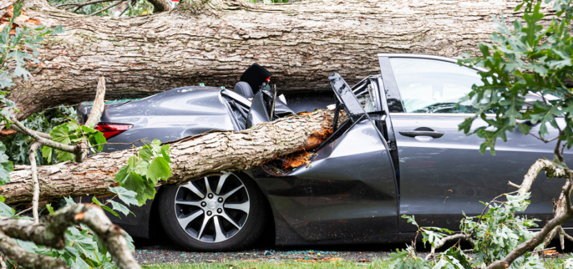 Při bouřce na Písecku zabil padající strom muže a ženu v autě. Bezprostředně před smrtí pomáhali rodině ukrýt se před bouří