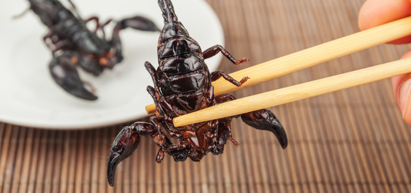Nejbizarnější a nejděsivější čínské jídlo: Polévka z hadího masa a celého škorpióna