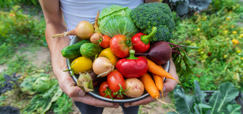 Jak zasadit zeleninu, aby vám vyrostla co nejkvalitnější? Dodržujte tyto zásady