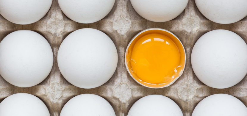 Jak poznat, že vejce snesla zdravá slepice? Zaměřte se na tuto věc