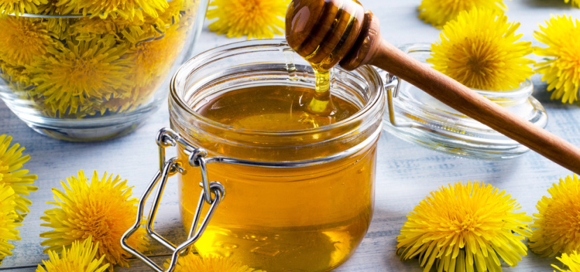 Recept na pampeliškový med: Připravte si jarní klasiku, kterou milujeme od dětství