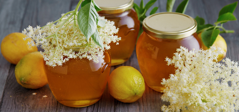 Zdravá pochoutka: Recept na med z květů černého bezu